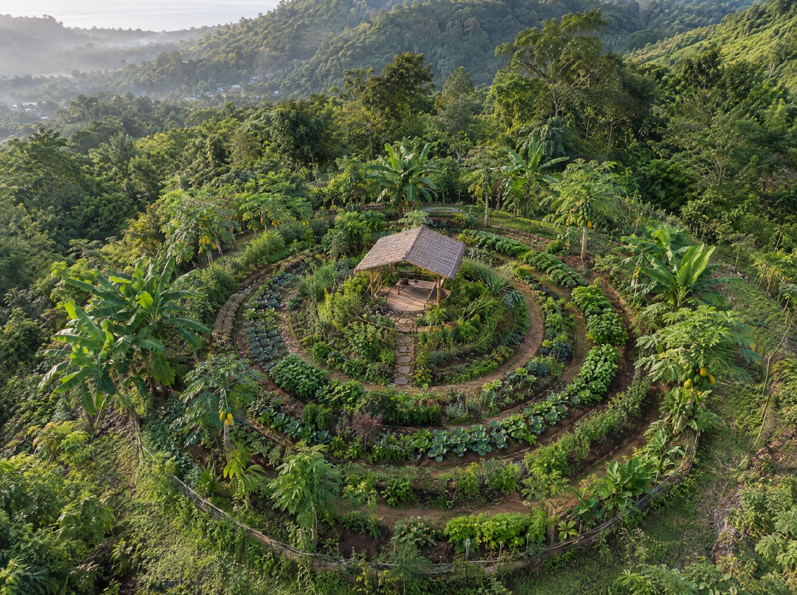 Circular food garden on a hillside