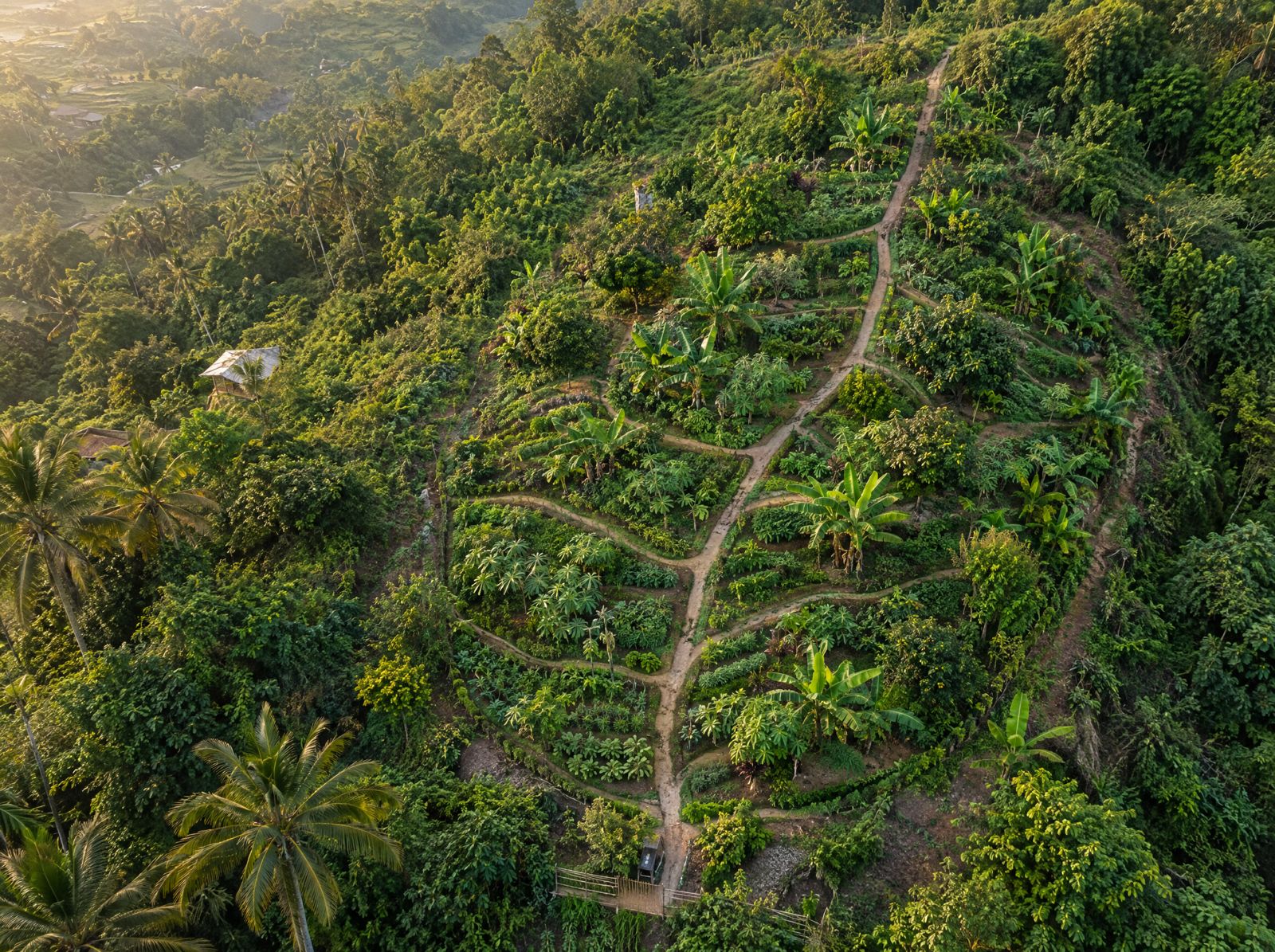 Leaf-shaped food forest